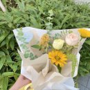 광주 동명동 꽃집 추천, "화사해"