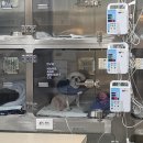 스마트동물병원 이미지