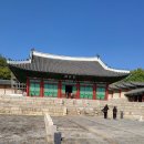 장인 얼큰이 칼국수,보쌈 이미지