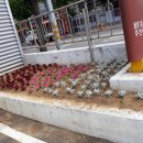 신평1동-9 이미지