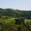 파인 힐링 이미지