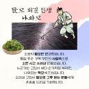 (유)랩스타 | 인정하고 보건복지부 대상 받은 제품으로 머리카락 원없이 나게 해드릴께요-(주)나와모랩 영등포 1호점