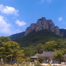 (주)삼화여행사 이미지