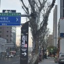 동인동양푼이찜갈비 | 대구 동인동 맛집 낙영찜갈비 본점 내돈내산 후기/찜갈비 골목 다녀왔어요