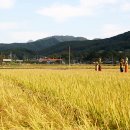 들녘한우 이미지