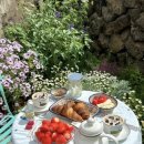 오마이 수산 | 🌱제주- 유럽감성 🥐 에어비앤비 숙소 : 오 마이 코티지💛 [작은집] 내돈내산 후기 (+조식제공)