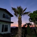 빌레하우스 이미지