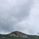 나무펜션 이미지