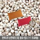 영진침구 이미지