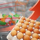 홈플러스 야탑점 이미지