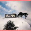 민고시텔