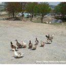 당림미술관 이미지