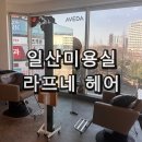 효산캐슬 | 산후 탈모 관리 일산 정발산역 미용실 라프네 아베다 컨셉살롱 유리 원장님 하이레이어드컷 케어 받은 후기