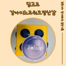 강아지노즈워크 장난감 딩고즈 사용후기, 무독성실리콘이라 안심하고 오래 쓰는 애견용품 선물
