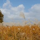 가정역(섬진강출렁다리) 이미지