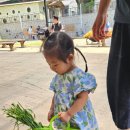 아라주는딸기영농조합법인 | 23개월 아기랑 한터농원 방문 후기