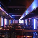 버블캣츠 이미지