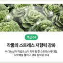 감동농장(2) 이미지