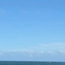 송정초밥 이미지