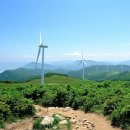 흔치휴게소(여) 네이버블로그