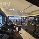 데일리짐 이미지