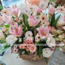 그린나래어린이집 이미지