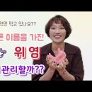 오래된 위염, 위축성 위염. 만성위염,미란성? 표재성 위염. 위장이 멈춘 사람들.단순하지만 꼭 필요한 관리법, 악화시키는 습관 이미지