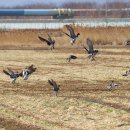 강서체육공원 이미지