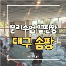 숲 칼프 다사서재점 | 대구 아이랑 갈만한곳 솜팡 🏊‍♂️ 수영 미술 분리수업 키즈카페 내돈내산 꿀팁
