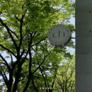 차오름헤어 서면점 이미지