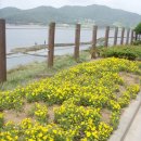 불갑저수지 수변공원 이미지