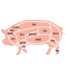 꾸이꾸이 이미지