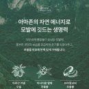 레삐
