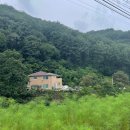 영동물소리민박 이미지