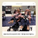 (주)에이블 | 유모카플러스: 쌍둥이 연년생 트라이크, 쌍둥이트라이크유모차 추천!! (에이블유모카플러스 솔직후기)