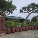 삽교읍 보성보건진료소 | 2025.6.27(금)지역마을탐방(무검말, 평촌, 외뜸말, 이리마을)