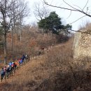 보은하다 이미지