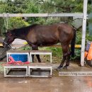 명월공원 이미지