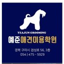 예준애견미용학원