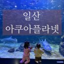 정도태권도장 | [일산] 아쿠아리움 일산 다녀온 후기 !