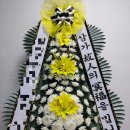 영월화환
