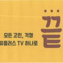 에그트리 이미지