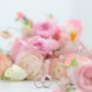 금용축사 이미지