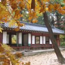 정자농산