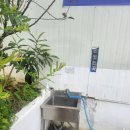 주원장수타손짜장 | 담양 현지인맛집 수타손짜장 찐 후기