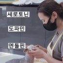 로댕 펫 살롱 이미지