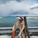 야야 민박 이미지