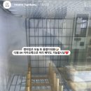 모모한 하루 이미지