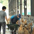 성실목장 이미지