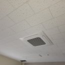 월드팜코리아 이미지